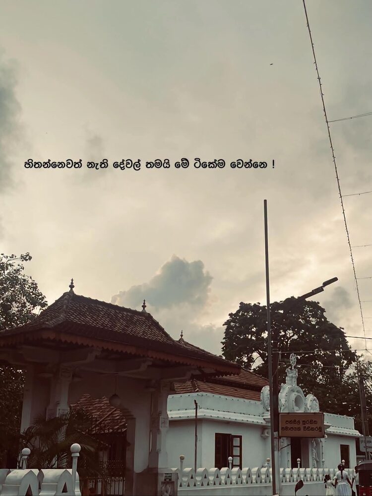 Shared image 4